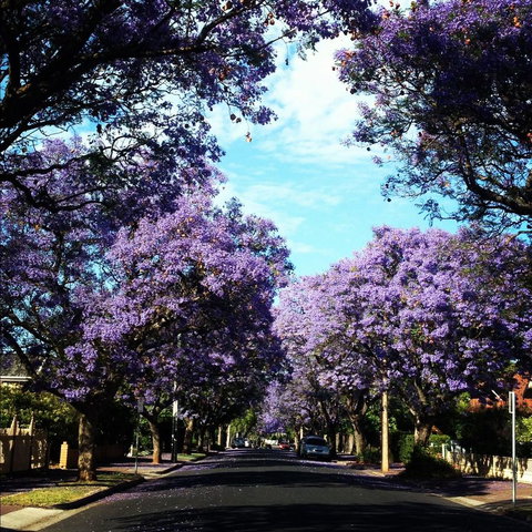 Monaco Court Apartment Adelaide - eTourism Australia 0