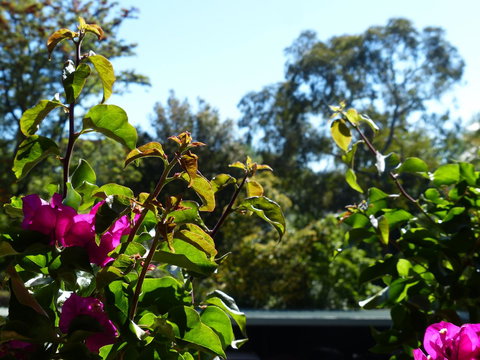 Monaco Court Apartment Adelaide - eTourism Australia 11