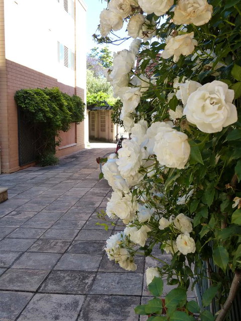 Monaco Court Apartment Adelaide - eTourism Australia 19