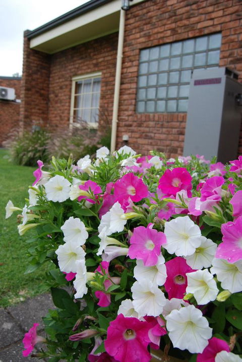 Arkana Motor Inn & Terrace Apartments - eTourism Australia 40