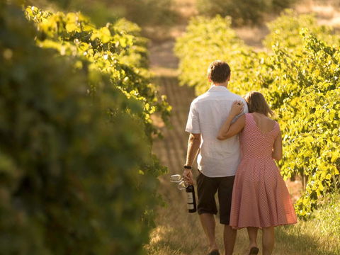 Novotel Barossa Valley Resort - eTourism Australia 40