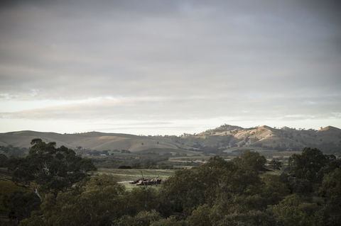 Novotel Barossa Valley Resort - eTourism Australia 23