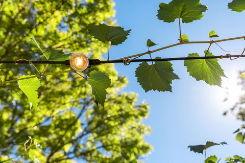 Adelaide Hills Retreats - eTourism Australia 32