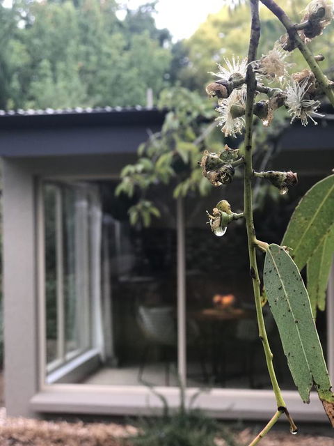 Adelaide Hills Retreats - eTourism Australia 9