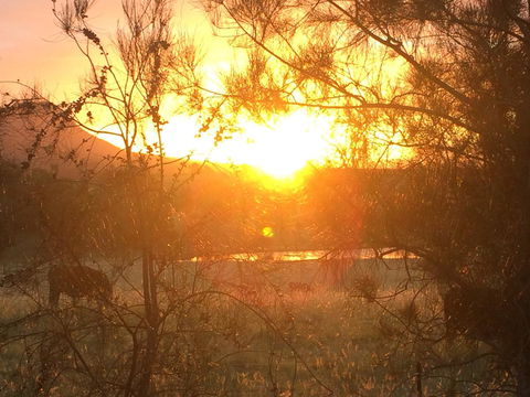 Grapevines Boutique Accommodation - eTourism Australia 27