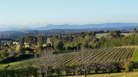 Grapevines Boutique Accommodation - eTourism Australia 21