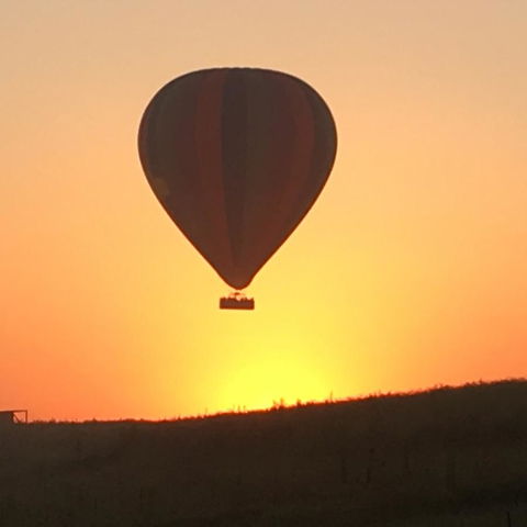 Grapevines Boutique Accommodation - eTourism Australia 13