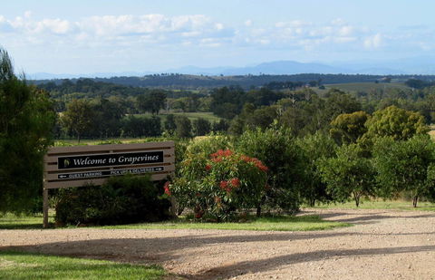 Grapevines Boutique Accommodation - eTourism Australia 15