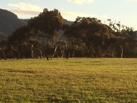 Grapevines Boutique Accommodation - eTourism Australia 26