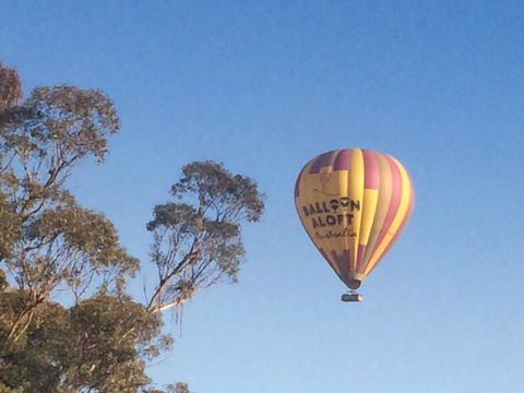 Grapevines Boutique Accommodation - eTourism Australia 12