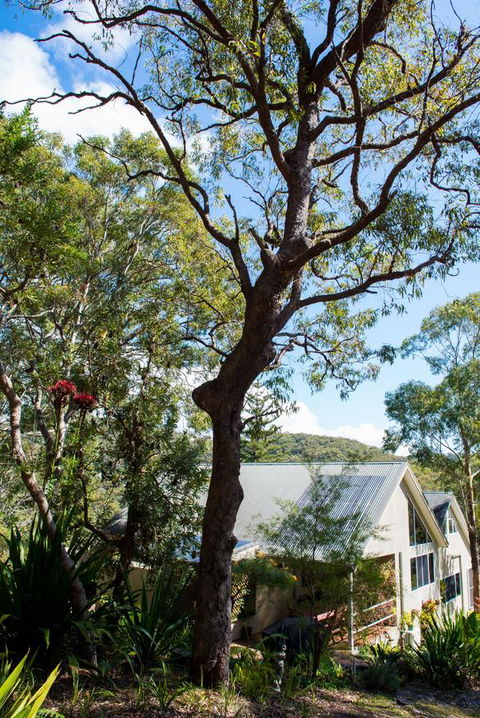 Nelson Bay Bed & Breakfast - eTourism Australia 42