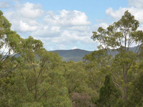 Villa Executive 2br Cypress DS Located Within Cypress Lakes Resort - eTourism Australia 8