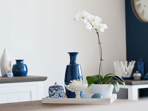 Blue View @ Fingal Bay - eTourism Australia 8