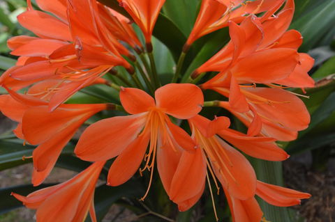 JE Guesthouse, Central To All The Hunter Valley Has To Offer - eTourism Australia 39