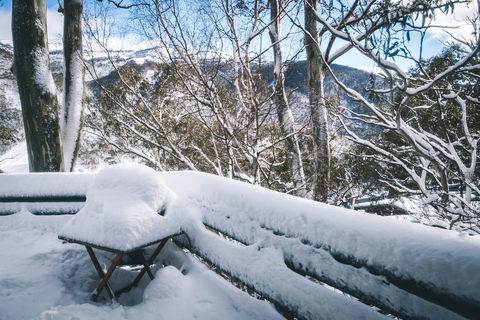 Pure Chalet Thredbo - eTourism Australia 19