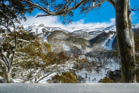 Pure Chalet Thredbo - eTourism Australia 17