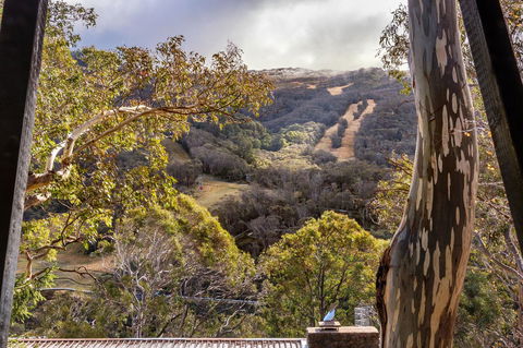 Pure Chalet Thredbo - eTourism Australia 35