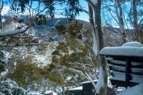 Pure Chalet Thredbo - eTourism Australia 30