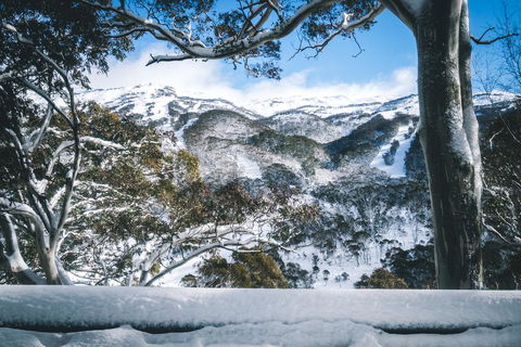 Pure Chalet Thredbo - eTourism Australia 2