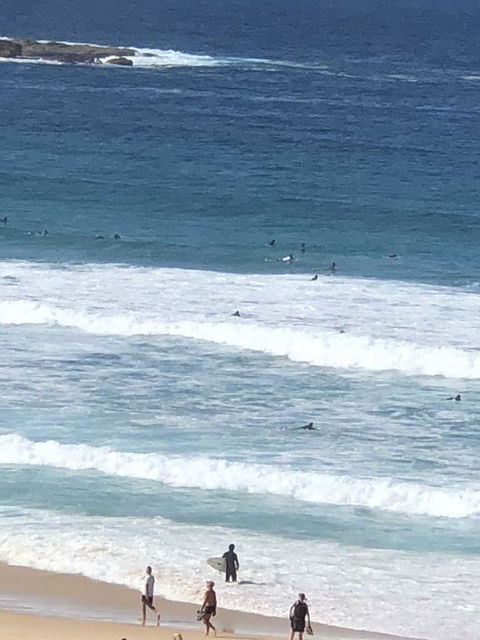 Bondi 38 Serviced Apartments - eTourism Australia 2