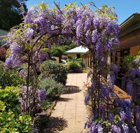Gumtree House Montville - eTourism Australia