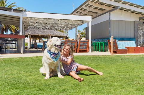 RAC Monkey Mia Dolphin Resort - eTourism Australia 35