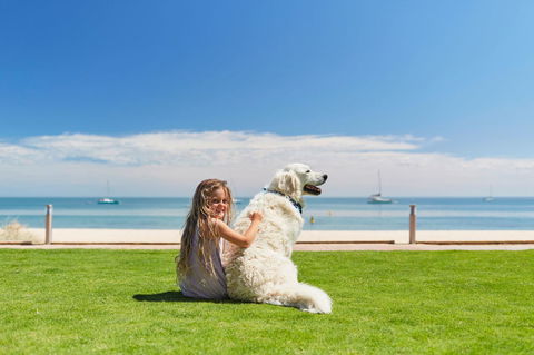 RAC Monkey Mia Dolphin Resort - eTourism Australia 36