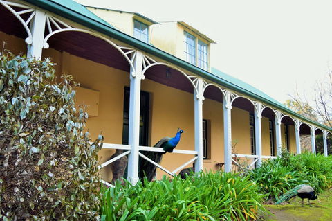Cleburne Homestead - eTourism Australia 29