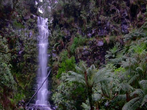 Great Ocean Road Resort - eTourism Australia 16