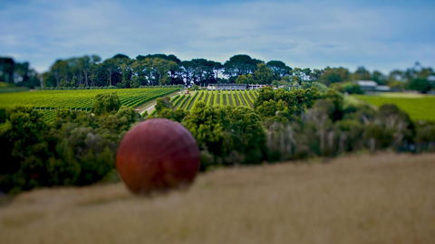 Nautique Beach House - eTourism Australia 25