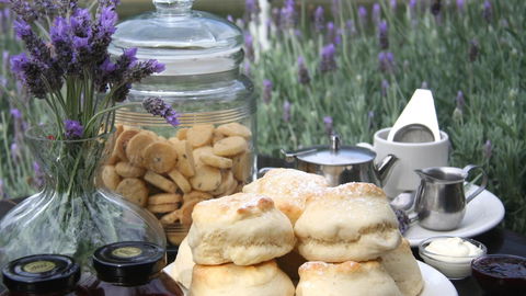 Nautique Beach House - eTourism Australia 16