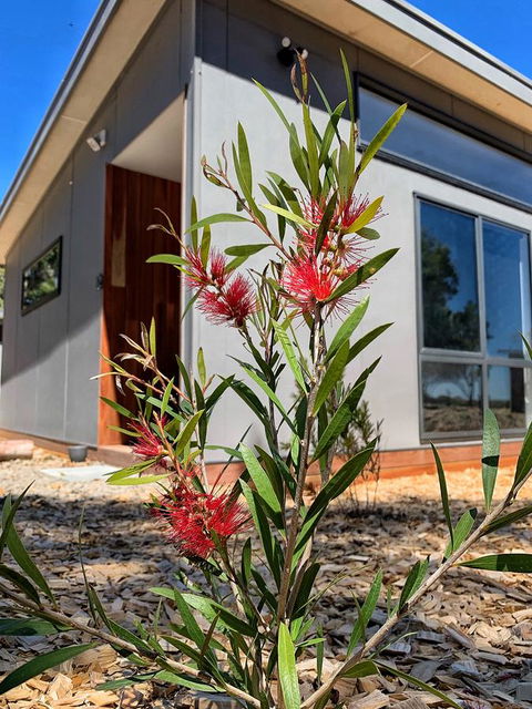 By Moonlight - eTourism Australia 4