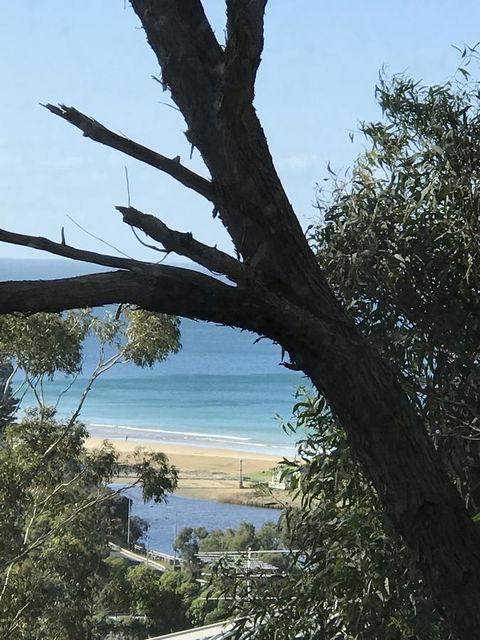 Lorne Sea View Terrace House - eTourism Australia 12