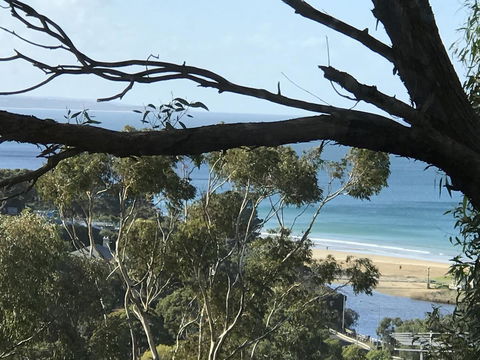 Lorne Sea View Terrace House - eTourism Australia 10