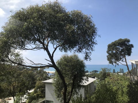 Lorne Sea View Terrace House - eTourism Australia 26
