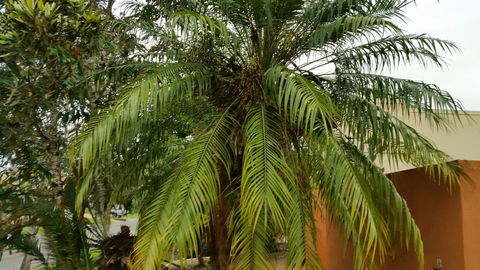 Hepburn Holiday Haven - eTourism Australia 26