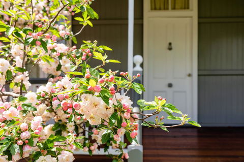 Apple Blossom Cottages - eTourism Australia 2