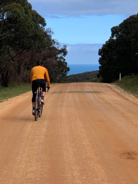 Anglesea Rivergums - eTourism Australia 4