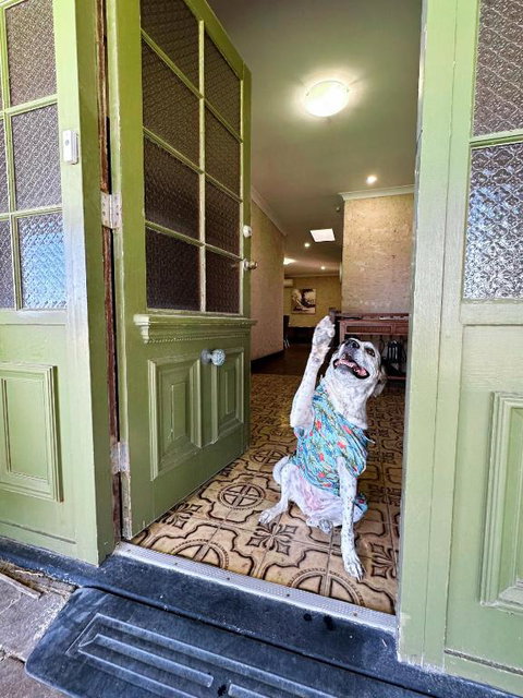 Ardgreian - eTourism Australia 3