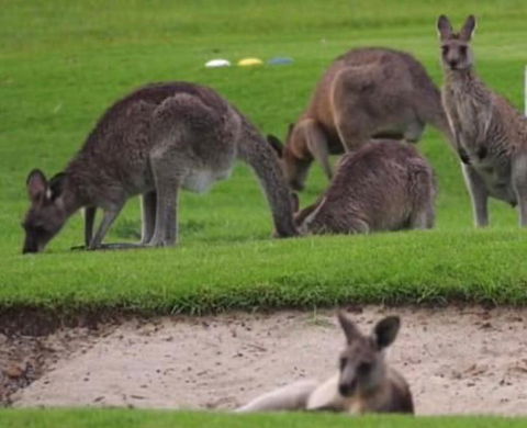 B & B On The Water - eTourism Australia 3