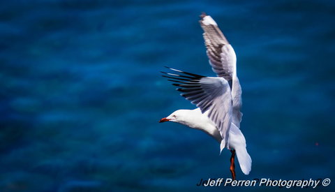 La Promenade - eTourism Australia 14