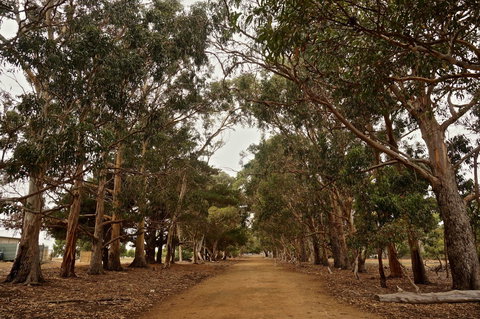 Hanson Bay Cabins - eTourism Australia 21