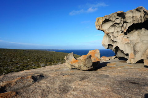 Hanson Bay Cabins - eTourism Australia 22