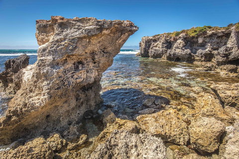 Hanson Bay Cabins - eTourism Australia 2