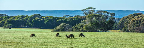 Hanson Bay Cabins - eTourism Australia 23
