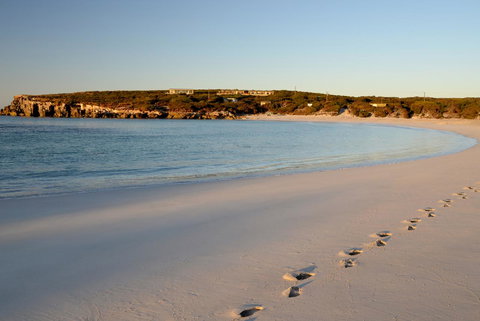 Hanson Bay Cabins - eTourism Australia 16