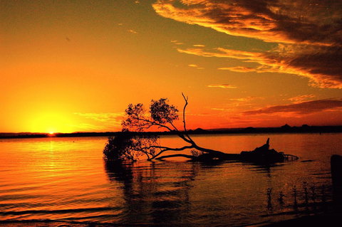 Fishing And Swimming At Your Doorstep - Sylvan Beach Esp, Bellara - eTourism Australia 2