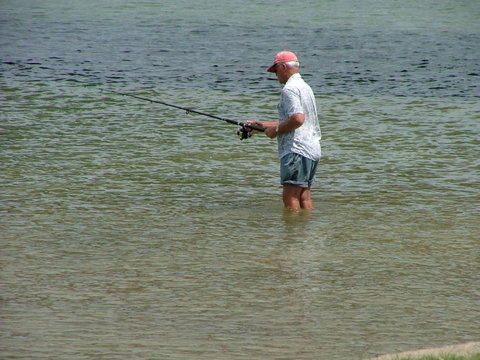 Hampton Cottage- Delightful Cottage Bring Your Dog! - eTourism Australia 4