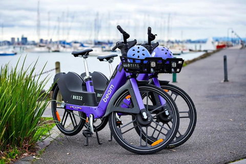 Contemporary Family Oasis In The Heart Of Newport - eTourism Australia 3