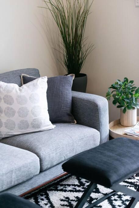 Cute As A Button - Picket Fence 3 Bed Stylish Home - eTourism Australia 4